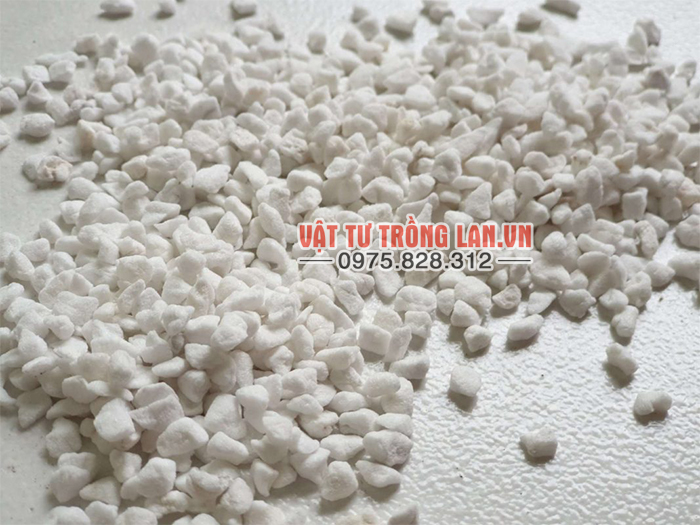 Đá Perlite trồng sen đá giúp giữ ẩm tốt