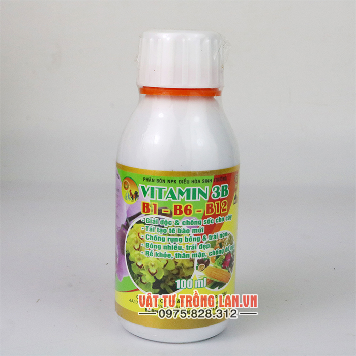 Phân bón điều hòa sinh trưởng Vitamin 3B lọ 100ml