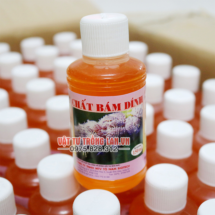 Thuốc siêu bám dẫn Tobon ST lọ 150 ml